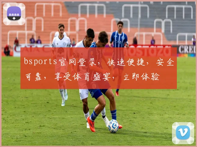 bsports官网登录，快速便捷，安全可靠，享受体育盛宴，立即体验