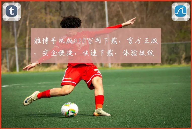 雅博手机版app官网下载，官方正版，安全便捷，快速下载，体验极致娱乐